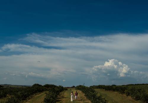 ENSAIOS PRÉ-WEDDING de ENSAIO EM HOLAMBRA