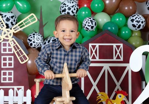 Ensaio Infantil de Miguel - 2 anos