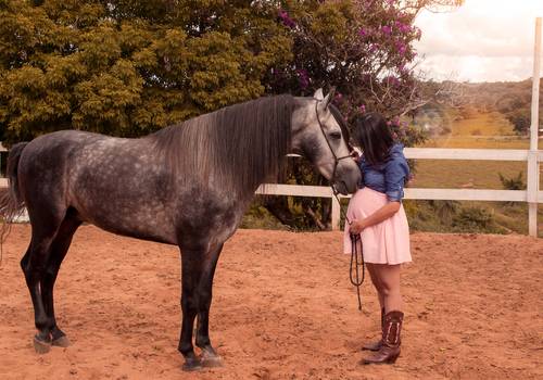 Gestante de Ensaio Gestante - Naitry 