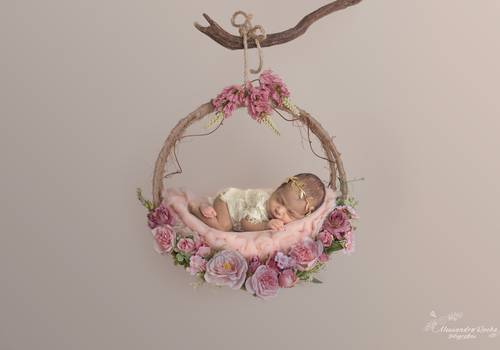 Newborn de Ensaio Newborn - Isabela