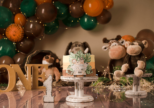 Smash the cake de Smash the cake - Safari Théo