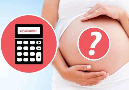 CALCULADORA GESTACIONAL
