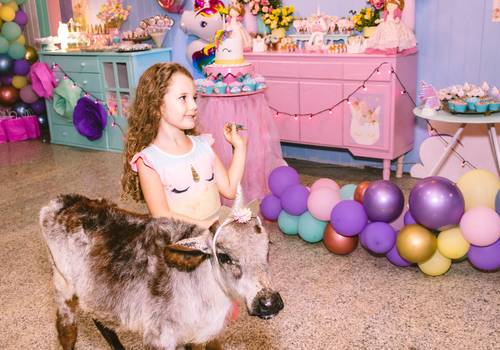Aniversário infantil de 6 anos Sophia