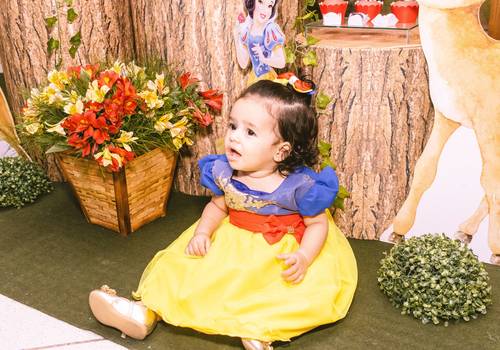 Aniversário infantil de 1 ano da Cecília