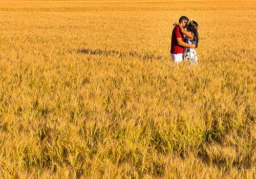 Ensaios de ENSAIO- TIAGO & MAYARA - TERRA BOA P.R 