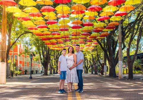 Gestante de Ensaio de Gestante e Família