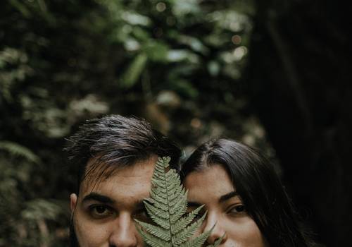 Jobs de O poder de imersão