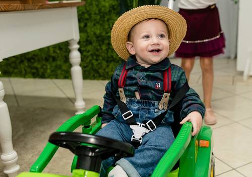 Aniversário Infantil de A Fazenda do Arthur - 1 Aninho