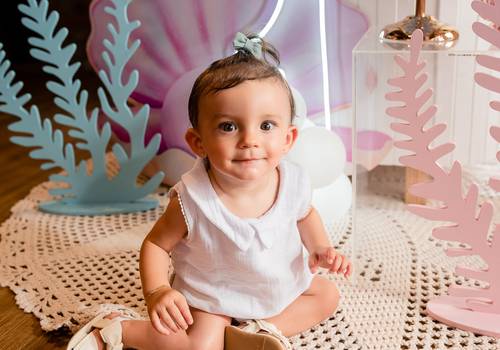 Aniversário Infantil de Elisa | 1 Aninho