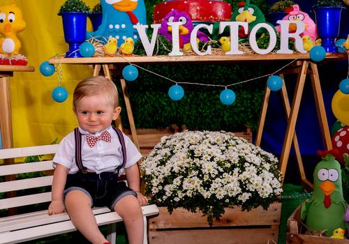 Aniversário Infantil de Victor | 1º Aninho