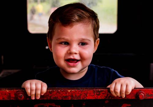 Série L'amore - Fotografia de Família de L'Amore Martin - Passeio no Zoo