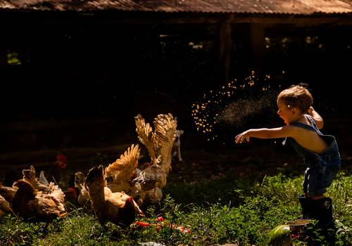 Fotografia de Família de Tavinho na Fazendinha