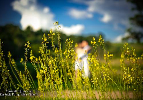Ensaio fotográfico de Juliana e Flávio