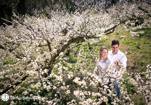 Ensaio fotográfico de Letícia e Caio