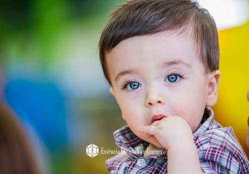 Aniversario Infantil de Fotos aniversario Gabriel