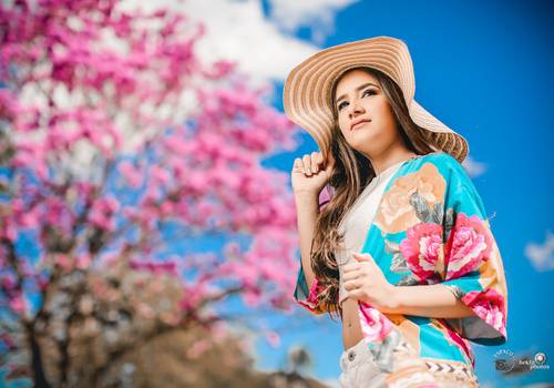 Book de Carol - Book