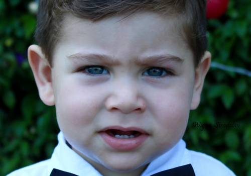 MINI ENSAIO de Vicente