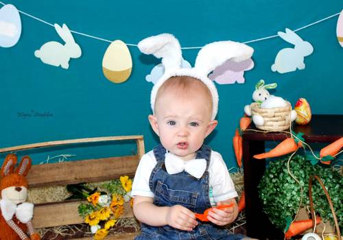 MINI ENSAIO de João Vitor