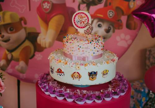 FESTA INFANTIL de COBERTURA FOTOGRÁFICA FESTA INFANTIL -  LARA 3 ANINHOS 