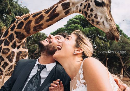 Trash The Dress de Trash The Dress | Daniela + Paulo