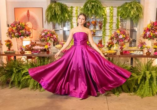 Debutante de 15 anos da Livia