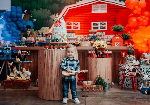 Aniversários de Fazendinha do Heitor! Cada dia mais lindo