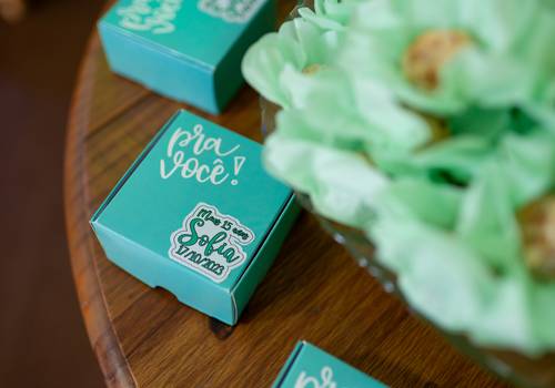 15 anos de 15 anos da Sofia