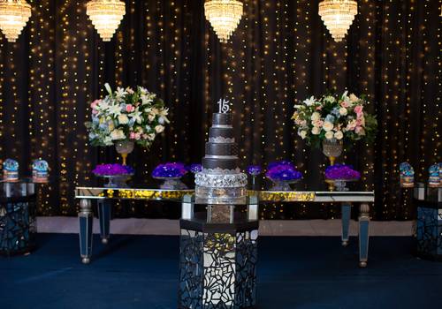 15 anos de 15 anos da Ana Júlia Caxias