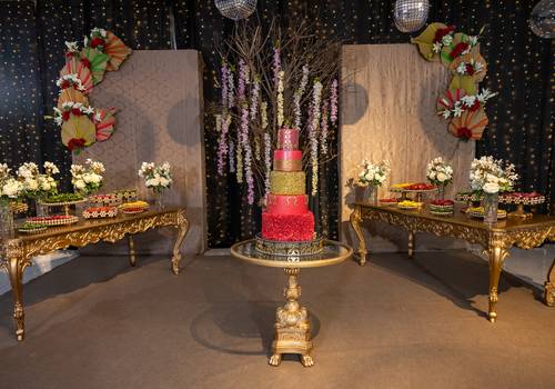 15 anos de 15 anos Jéssica Reis