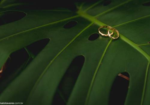 Casamentos de Noivado // Alice + Alexandre