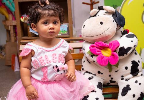 Aniversários Infantis de Fazendinha da Helena 