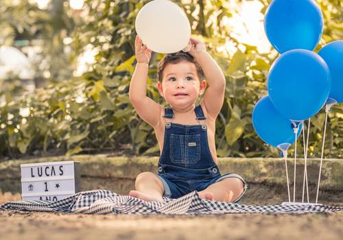 Ensaios Infantis de Smash The Cake Lucas