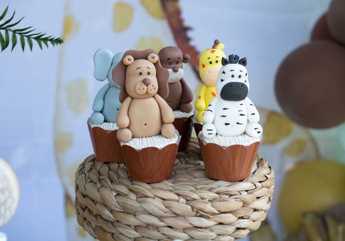 Festa Infantil de 1 Aninho Enrico