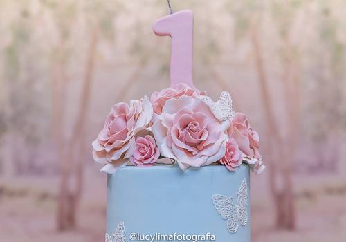 ANIVERSÁRIO INFANTIL de GIOVANA - 01 ANO