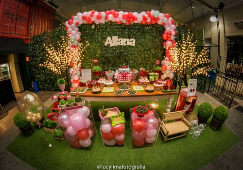 ANIVERSÁRIO INFANTIL de 01 ANINHO ALLANA
