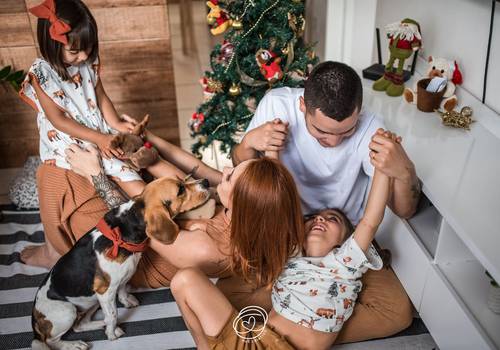 Ensaios de O Natal da família buscapé! 