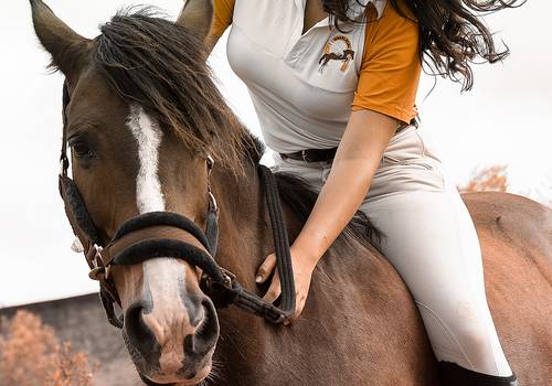 Ensaio rural de Treinadora de cavalos