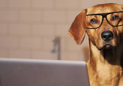 Como está a sua imagem nas redes sociais?