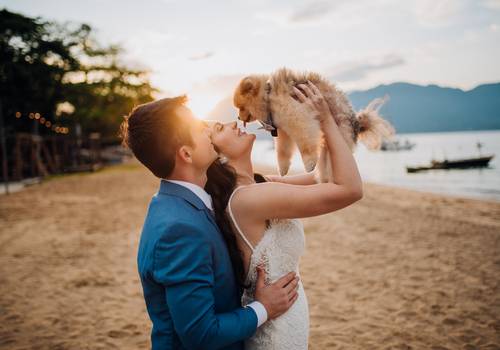 Wedding de Ayla e Léo