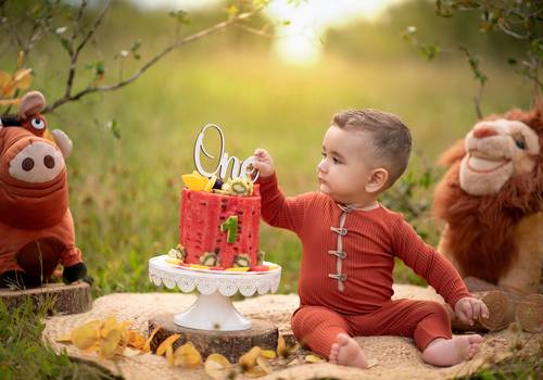 Smash the Cake de Smash the cake Bento