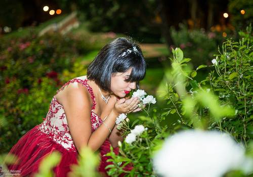 El Fotógrafo de 15 años - Rosario