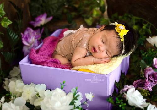 Newborn de Maia