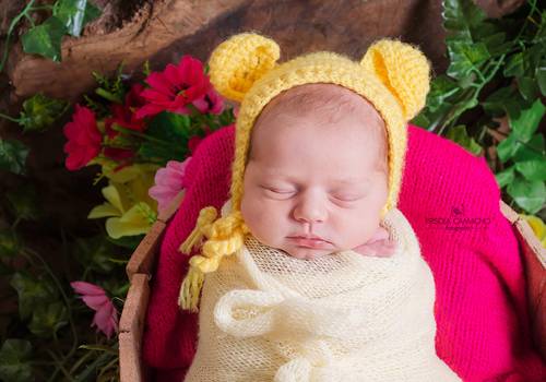 Newborn de Lis