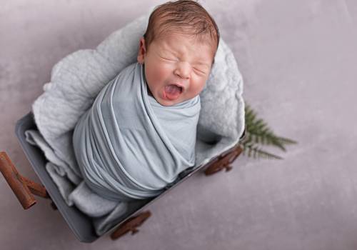 Newborn de ENSAIO VICENTE