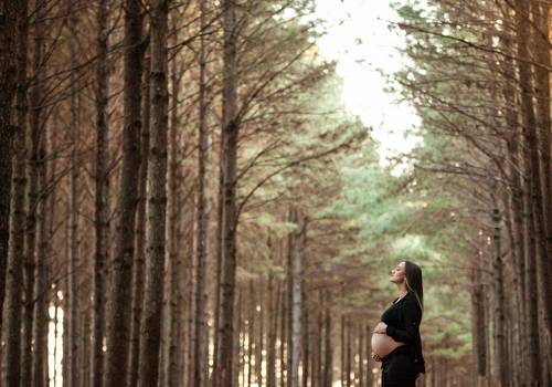 Gestante de A doce espera de Heitor