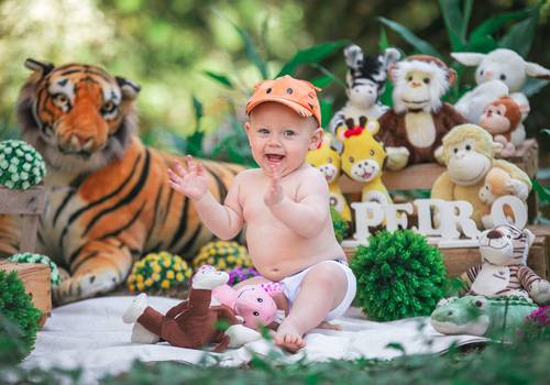 Infantil / Família de Safari´s do Pedro 