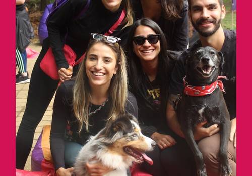 Corporativo de Bravecto