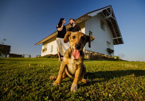 Ensaio Casal de Ana Paula & Edgar