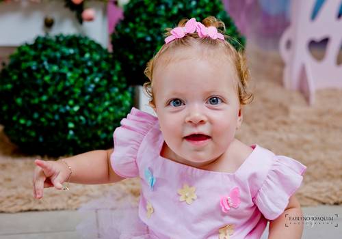 Aniversário Infantil de Laura | 1 ano