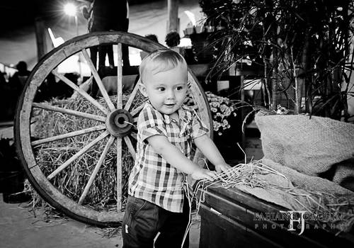 Aniversário Infantil de 1º Aninho de Daniel